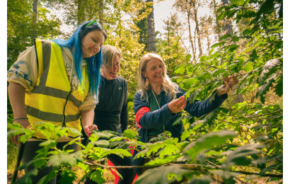 Coed Lleol Nature Walks 75 small