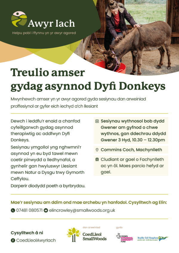 Digital poster Cymraeg 2 v2