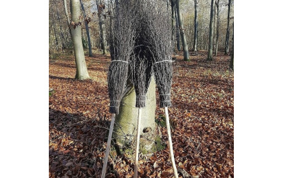 Besom Brooms witches brooms