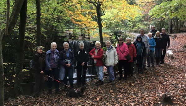 A group of Actif Woods Wrexham participants standing in a woodland smiling at the camera