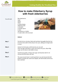 Recipe for Elderberry Syrup using fresh berries