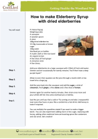 Recipe for elderberry syrup with dried berries