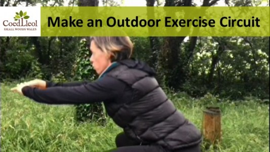Thumbnail of outdoor exercise circuit