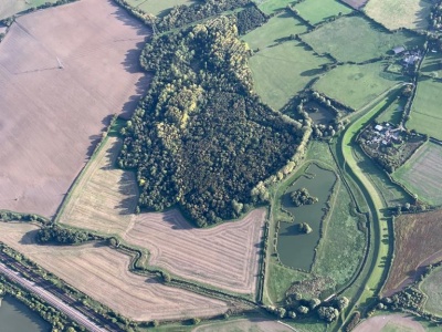 Backhouse wood 3
