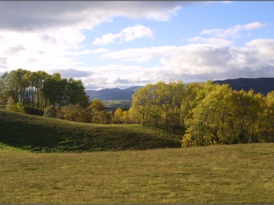 Picture1