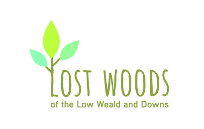 Lost Woods logo