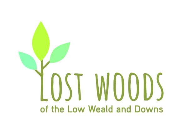 Lost Woods logo