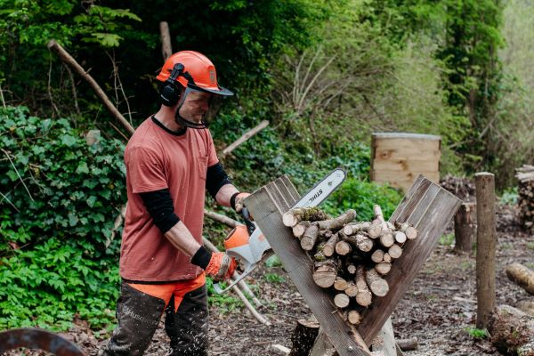 A person cutting branches with a chainsaw. They are wearing ear and eye defenders. 