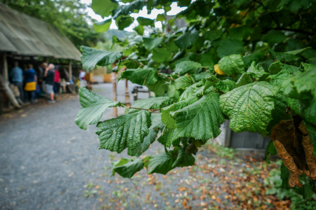 P1090971
