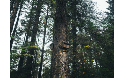 andrew ridley kDAkud5NRhM unsplash