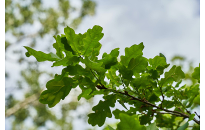 azimbek assarov uOJ4WHg92iI unsplash