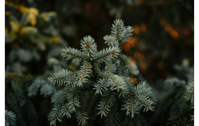 bato damdinov NXF64hFgYk4 unsplash