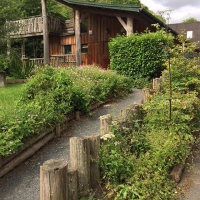 green wood cafe
