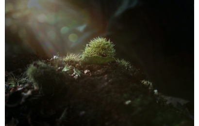 jez timms fVd BjNG95U unsplash