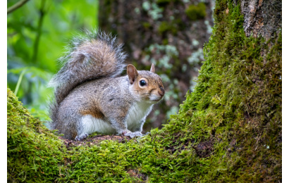 andy willis 3BBtFjGXbE8 unsplash